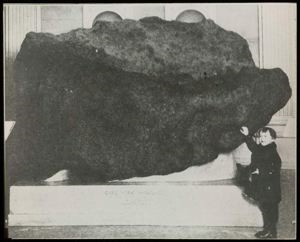 Image of The Peary Meteorite at the American Museum